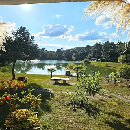 3 Etoiles - Piscine - Ccafgfe Chalet *
