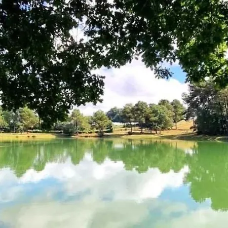 3 Etoiles - Piscine - Ccafgfe