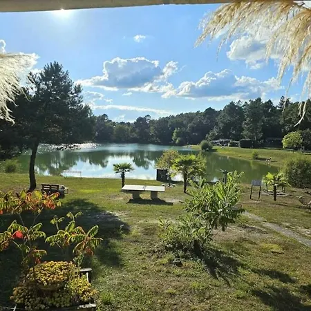 Chalet 3 Etoiles - Piscine - Ccafgfe *